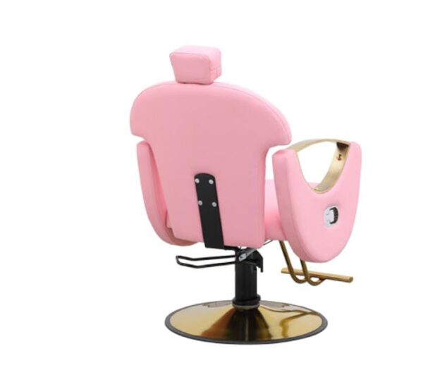 Salon Chair Premium Gold – Luxury Styling & Barber Chair - Image 3